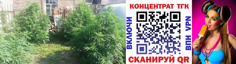 Дистиллят ТГК вейп  MEGA tor  Щигры 