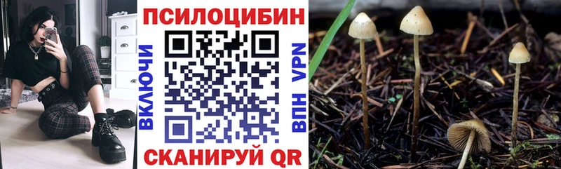 даркнет сайт  Щигры  Галлюциногенные грибы Psilocybine cubensis 