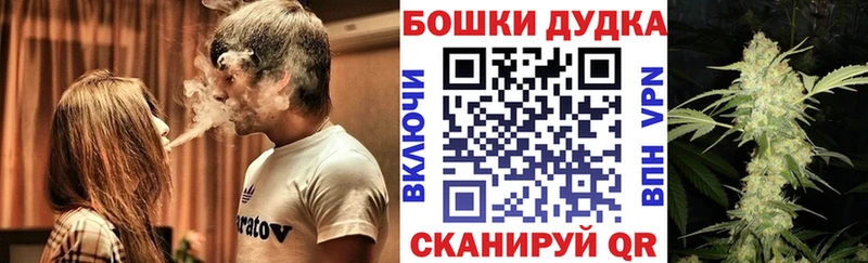 наркотики  Щигры  Бошки марихуана планчик 